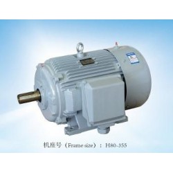 專業(yè)的閥門電機(jī)，哪里可以買到精湛的YE2系列三相異步電動機(jī)
