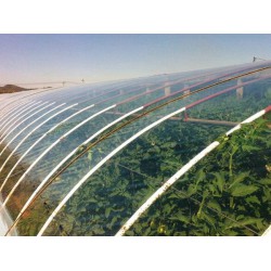 EVA消霧膜哪家好【金晶】EVA消霧農膜//EVA消霧膜批發