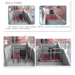 殘疾人升降機廠家，專業的殘疾人升降機【供應】