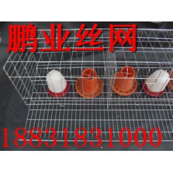 蛋雞籠規(guī)格 專(zhuān)業(yè)養(yǎng)殖蛋雞籠是由鵬業(yè)絲網(wǎng)提供
