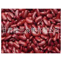 白銀黃豆 價格合理的雜糧批發【甘肅】