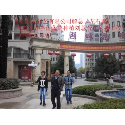 濰坊可信賴(lài)的蔬菜大棚建造公司，當(dāng)屬千匯溫室——蔬菜大棚造價(jià)