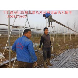 濰坊可靠的蔬菜大棚建造公司，當(dāng)屬千匯溫室，蔬菜大棚建造