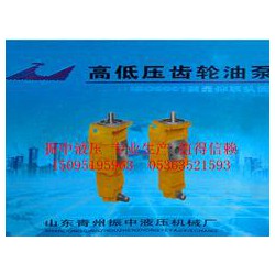 口碑好的雙聯齒輪油泵廠家——推土機齒輪油泵